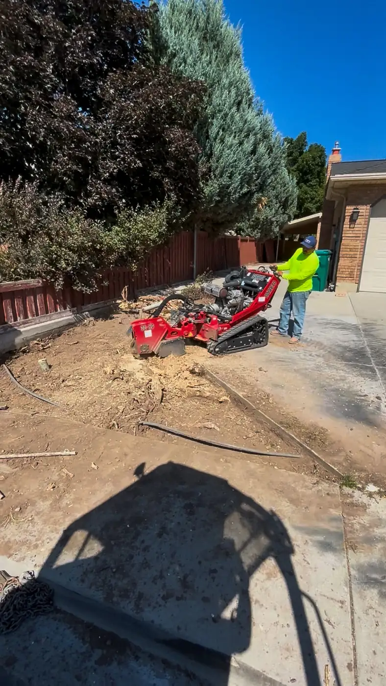 Compact track loader digging out a side yard for a driveway extension