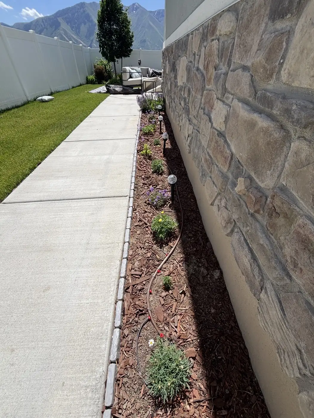 Mulched planting bed with drip irrigation along a stone wall
